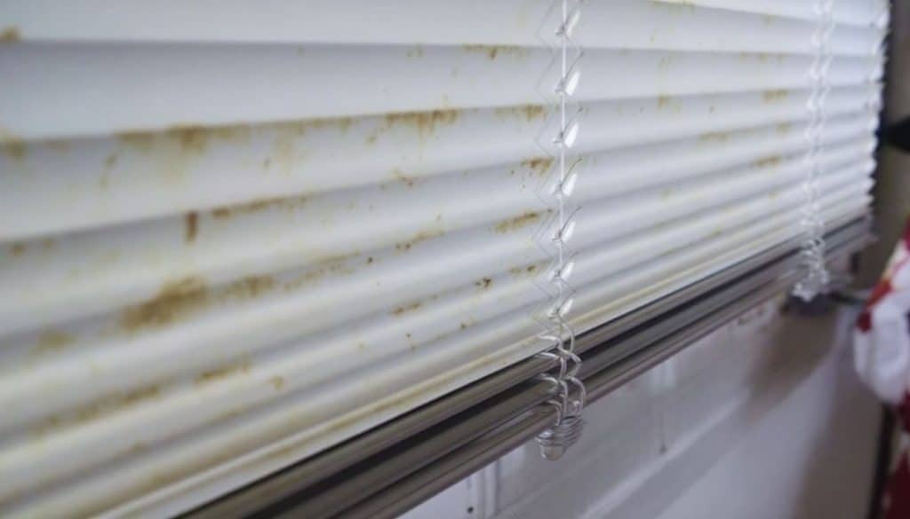 luxaflex schoonmaken oma weet raadt