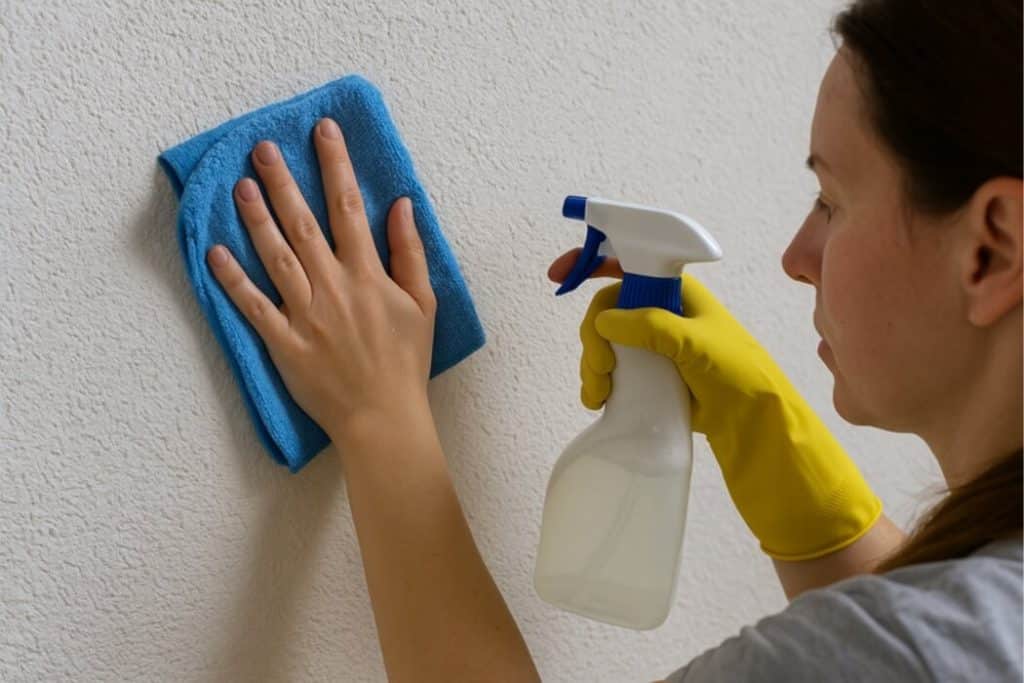 spachtelputz schoonmaken