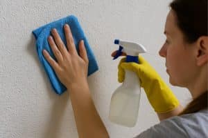 spachtelputz schoonmaken