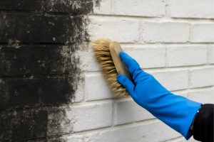 zwarte aanslag buitenmuur schoonmaken